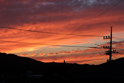 【撮影データ】 Canon E...