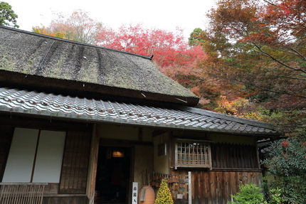 葦葺の屋根は珍しい。 【撮影デ...