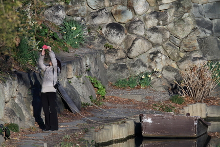 【撮影データ】 Canon E...