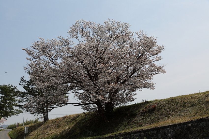 【撮影データ】 Canon E...
