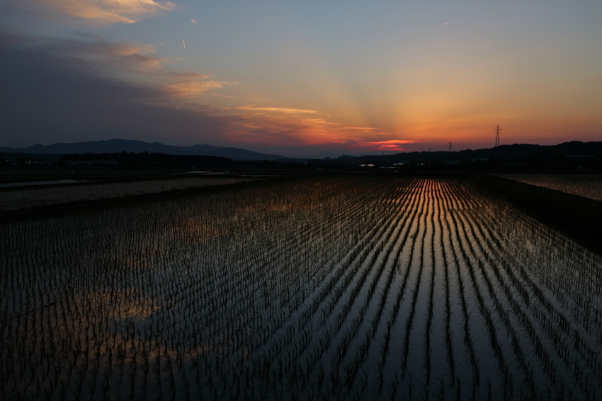 【撮影データ】 Canon E...