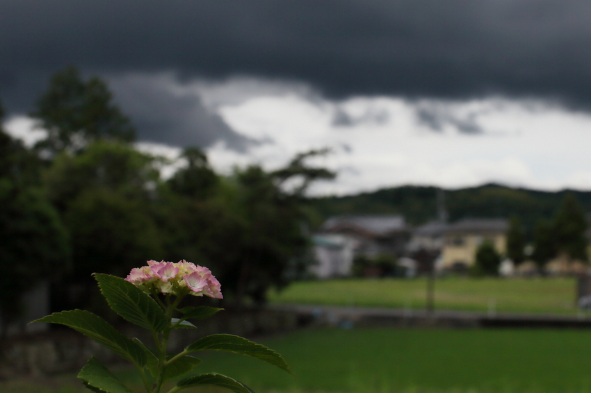 【撮影データ】 Canon E...