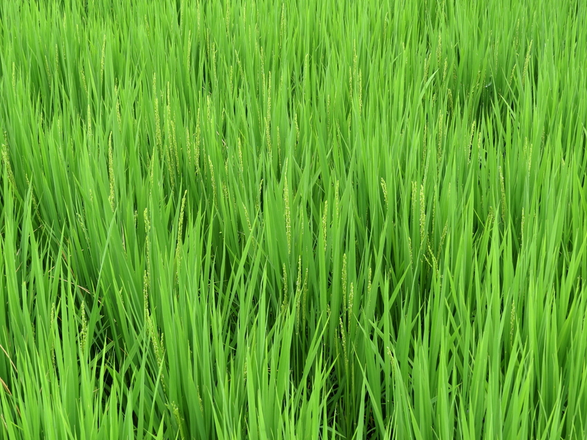 【撮影データ】 Canon P...