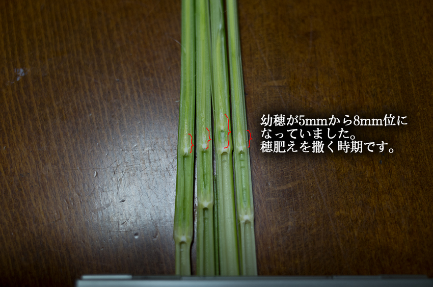 【撮影データ】 RICOH G...