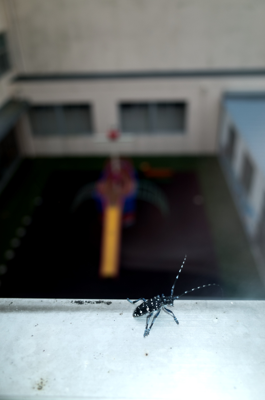 【撮影データ】 RICOH G...