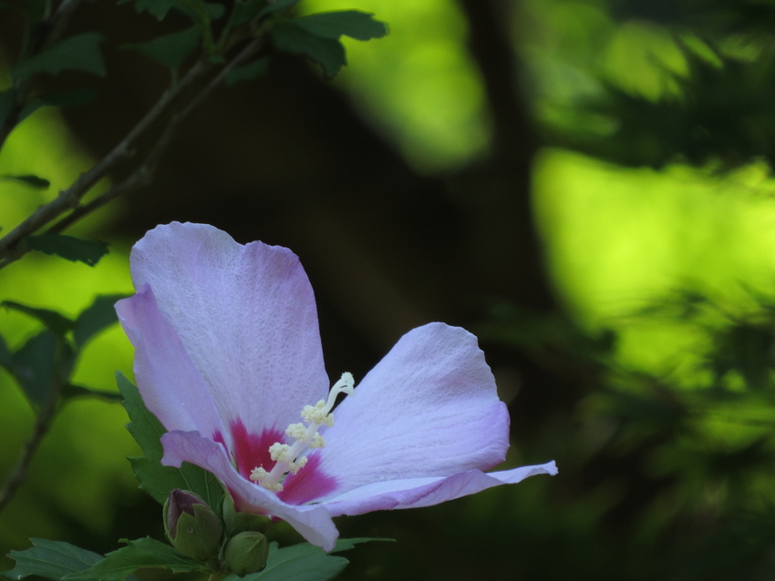 【撮影データ】 Canon P...