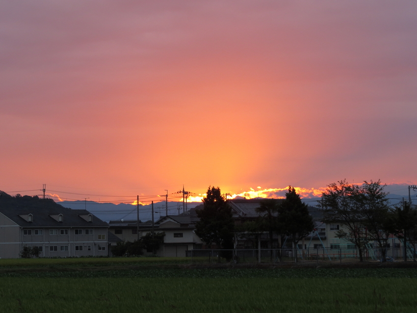 【撮影データ】 Canon P...