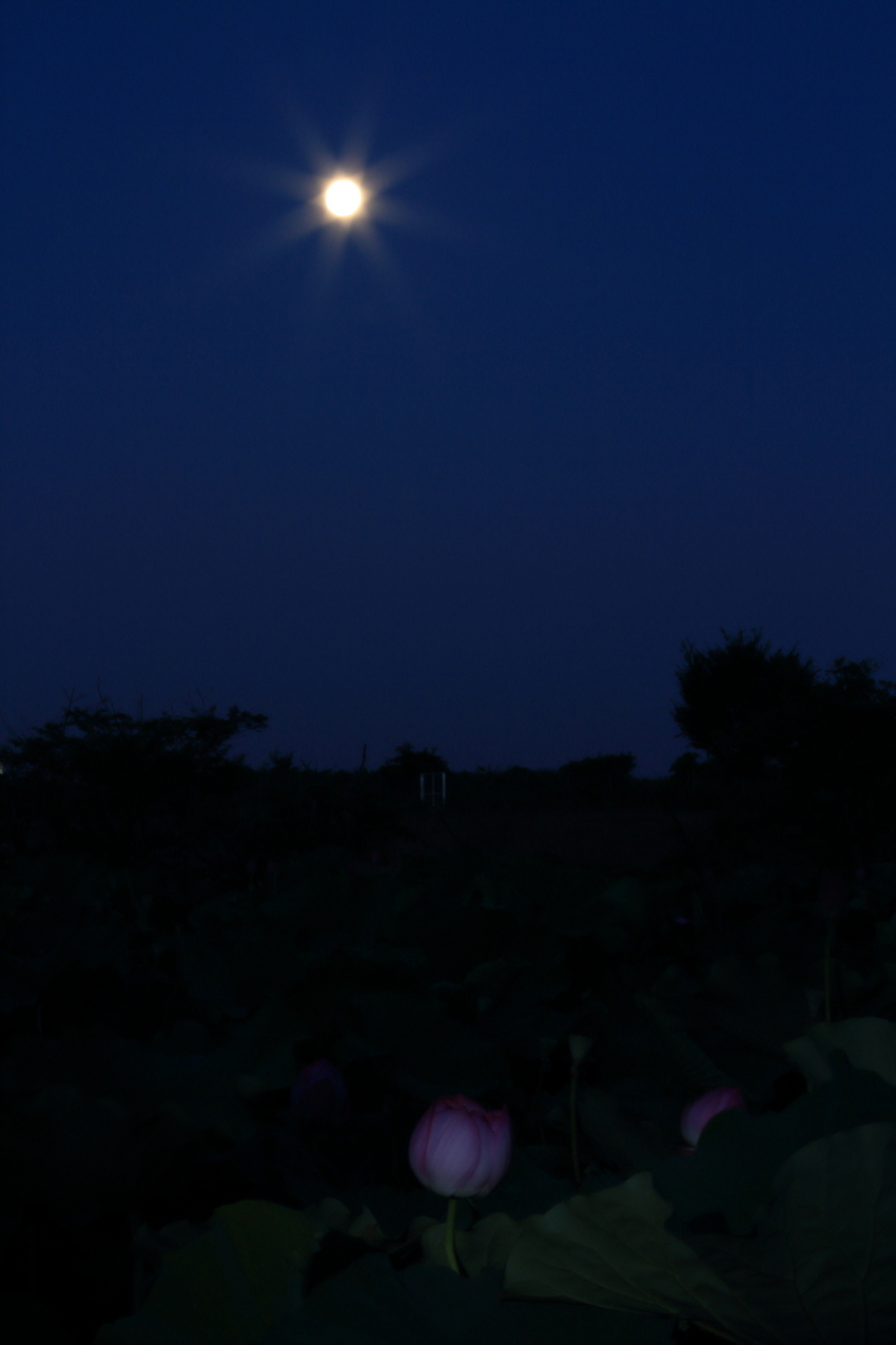 【撮影データ】 Canon E...