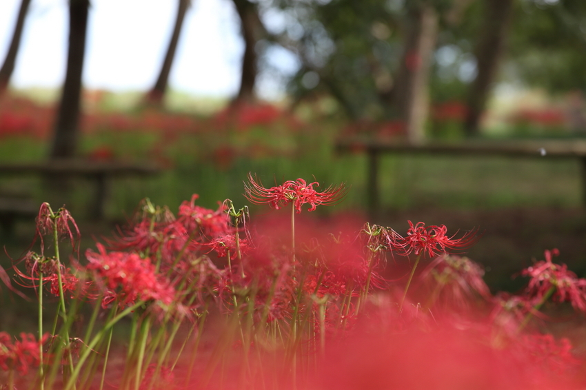 【撮影データ】 Canon E...