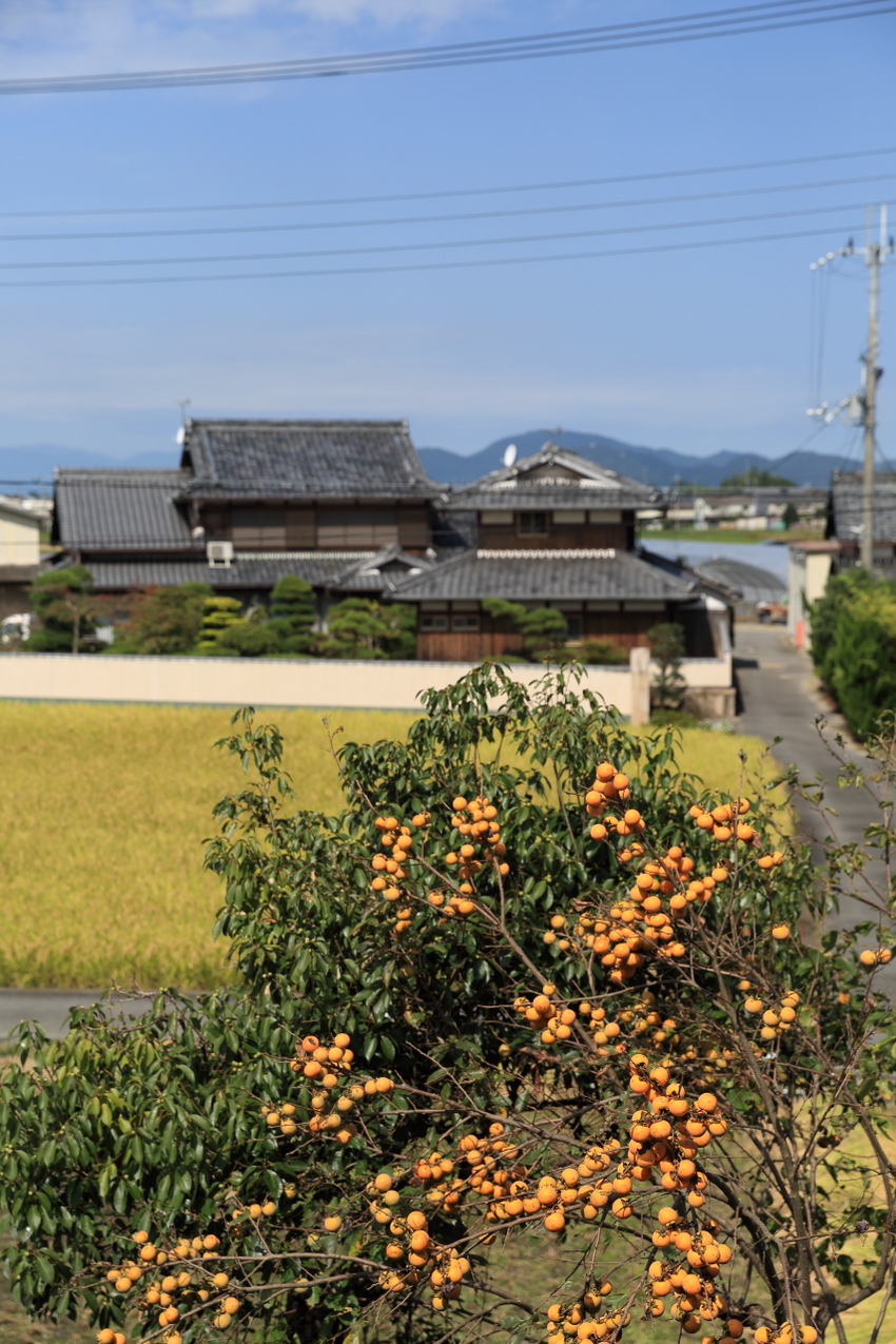 【撮影データ】 Canon E...