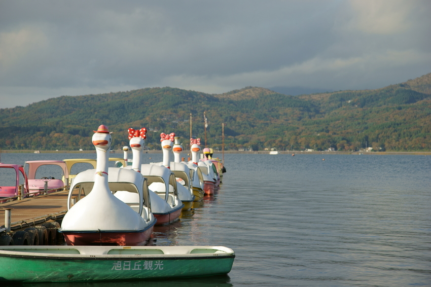 山中湖に浮かぶアヒル？の貸しボ...