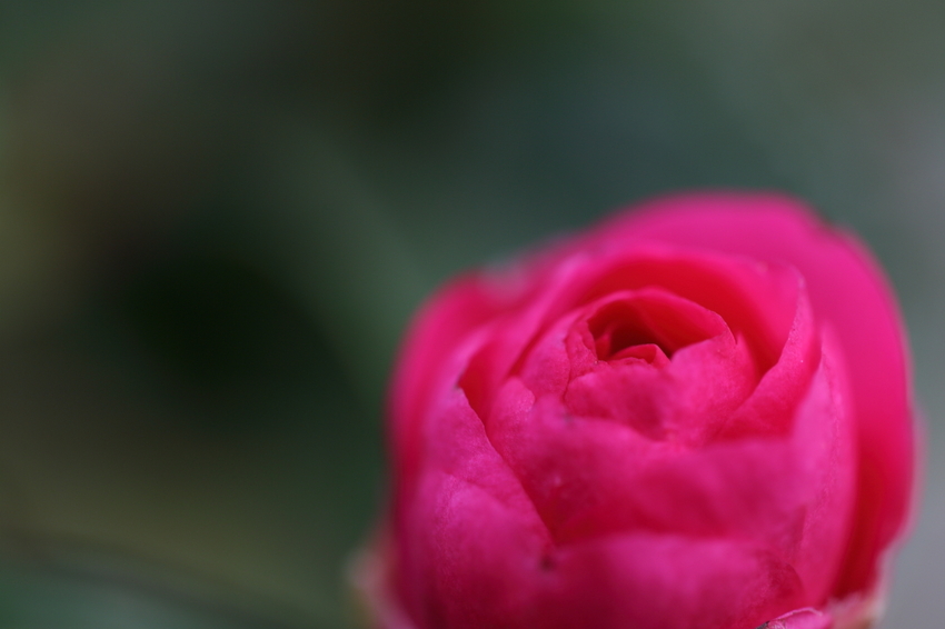 【撮影データ】 Canon E...