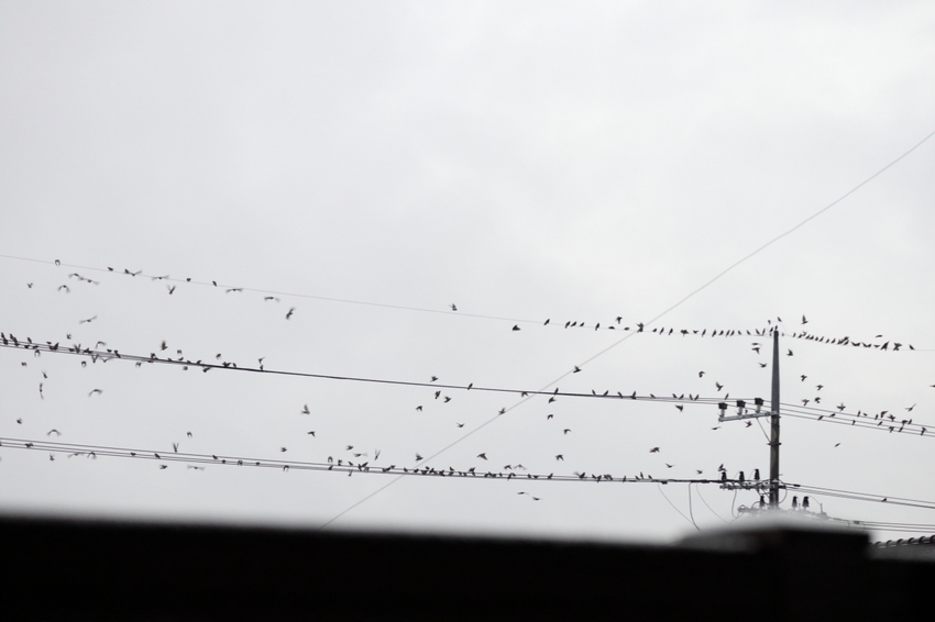 【撮影データ】 Canon E...