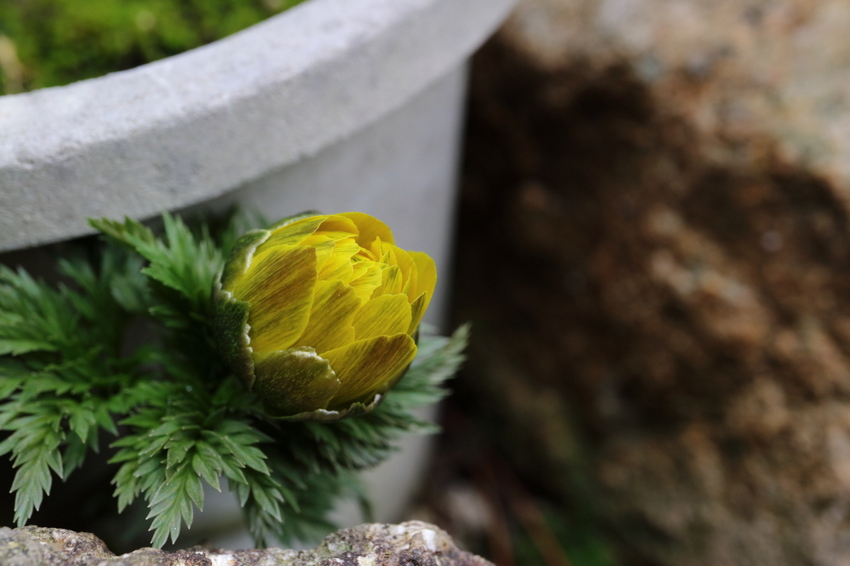 【撮影データ】 Canon E...