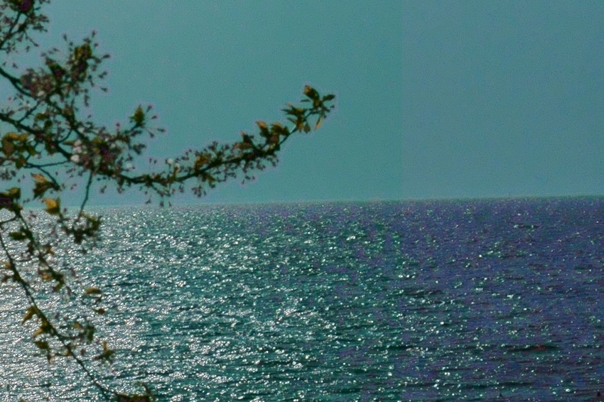 Image Data Conv...