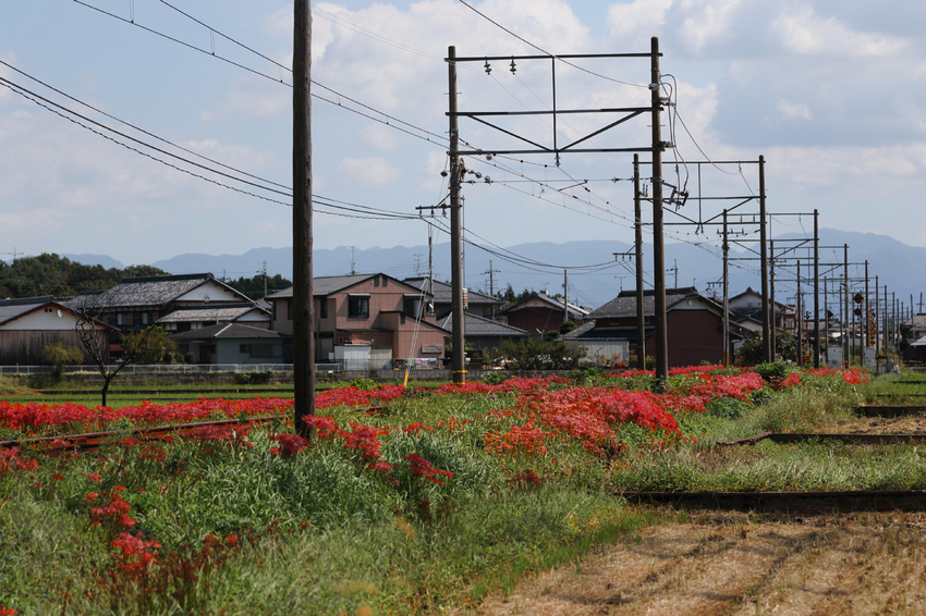 【撮影データ】 Canon E...