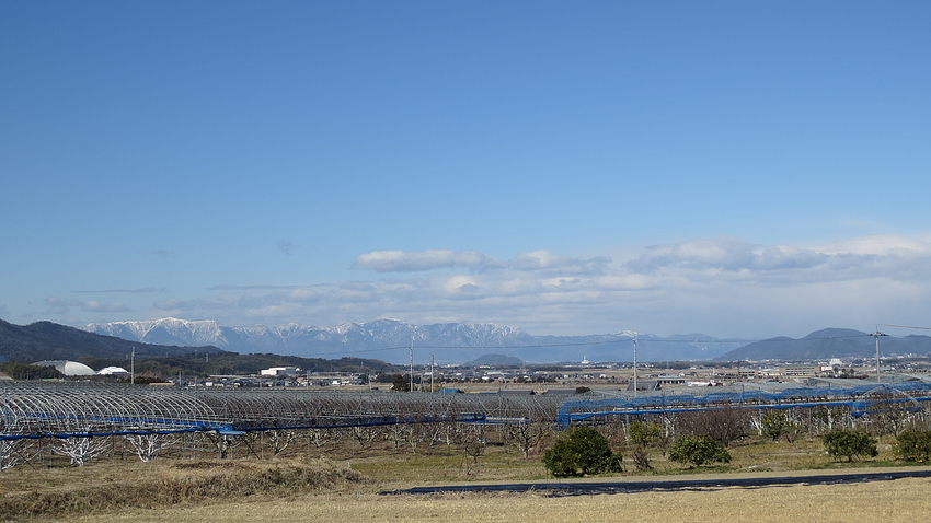 ここからだと琵琶湖の湖面も見え...