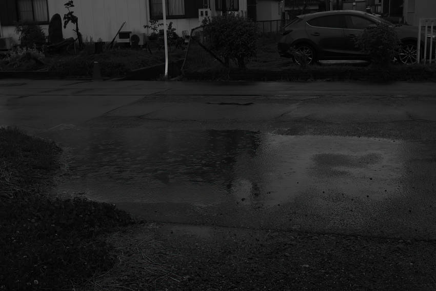 雨