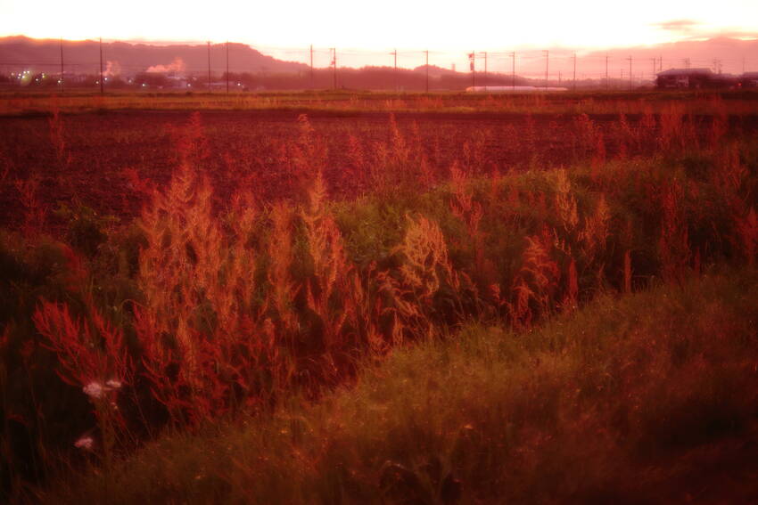 久し振りによく焼けた夕空でした...