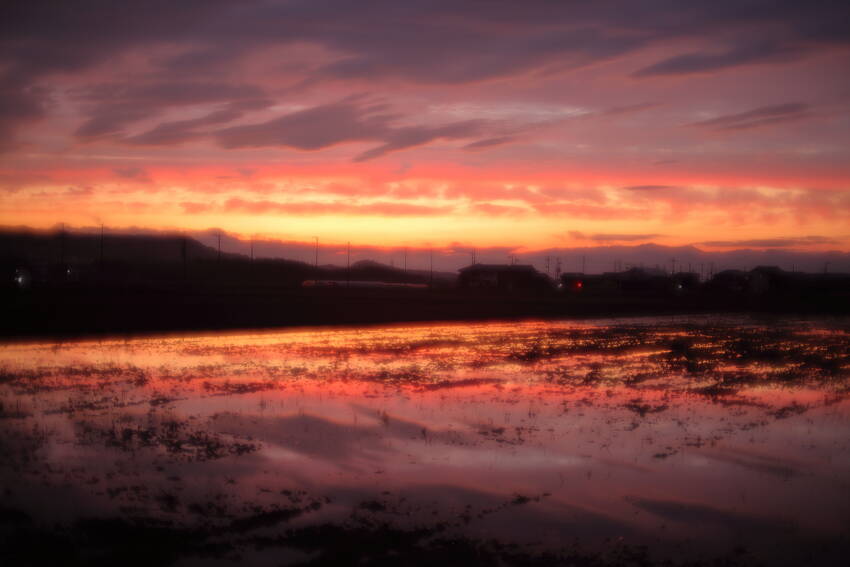 久し振りによく焼けた夕空でした...