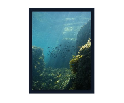Fuji Finepix Underwater Photo
