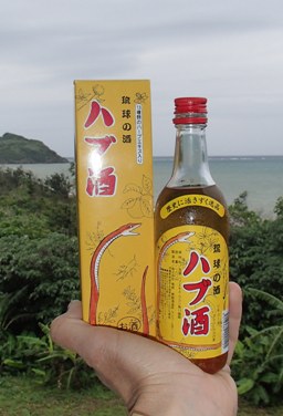 Okinawan Snake Wine