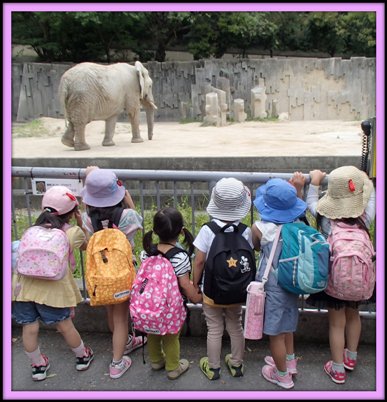 Teragoya Zoo Trip