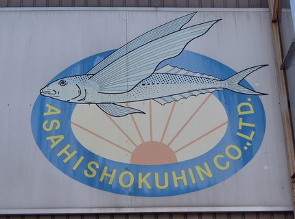 Flying Fish