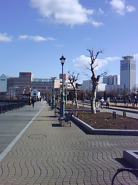 奇妙な光景