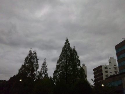 台風一過の