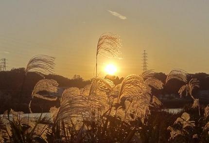 20111113（1）