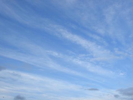 空を見上げて・・・