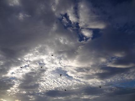 8月15日の空
