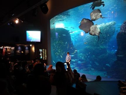 新江ノ島水族館