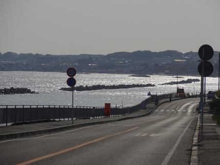 夏へと導く
