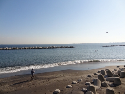 温暖化のせいなのか、砂浜は年々...