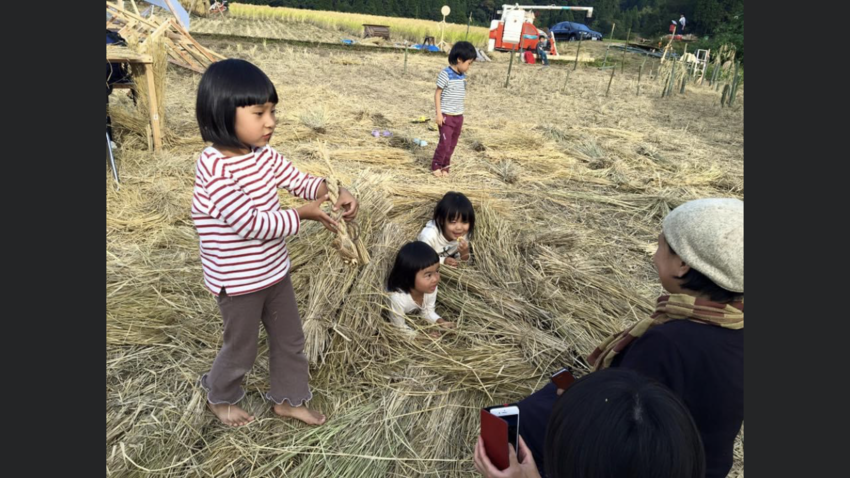 稲藁の思い出