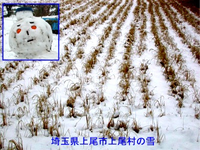 降雪