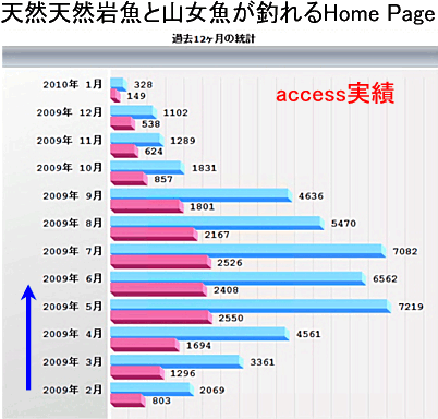 アクセス数の実績