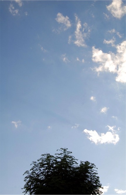 秋の空