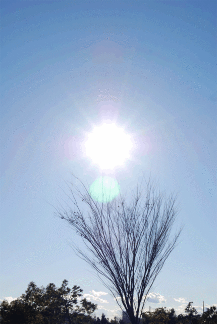 1月２日の埼玉県上尾市のお天気