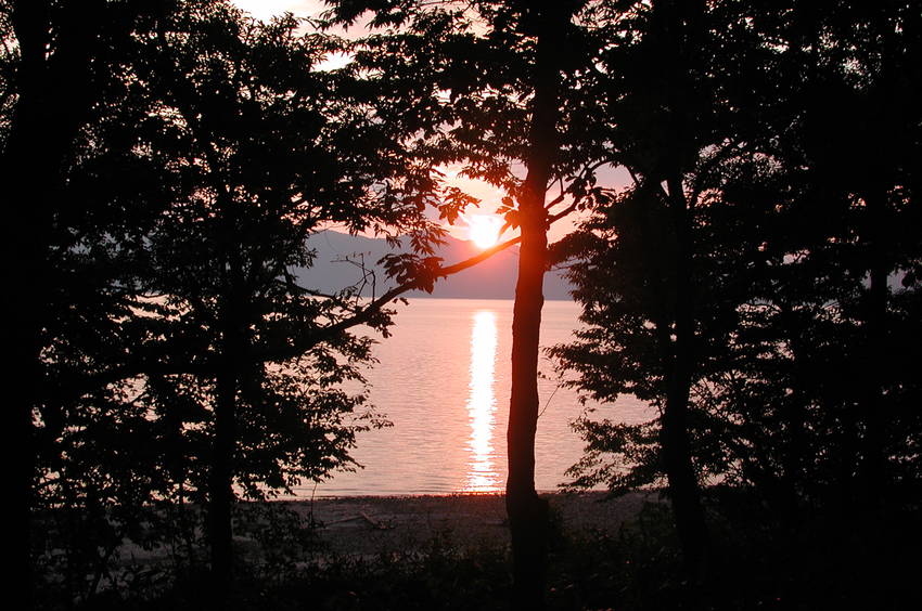 湖面にのびる光の橋を背に、夕餉...