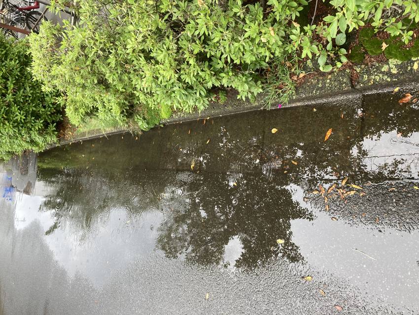 皐月雨　二人で見つめる　水鏡　...