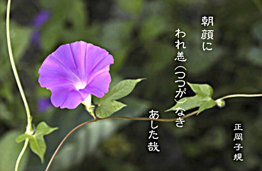 正岡子規の俳句です。岩魚太郞の俳句？　です。比べている訳では...