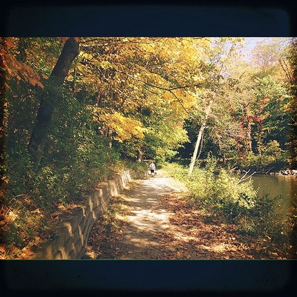 これがその写真 ／ Walki...