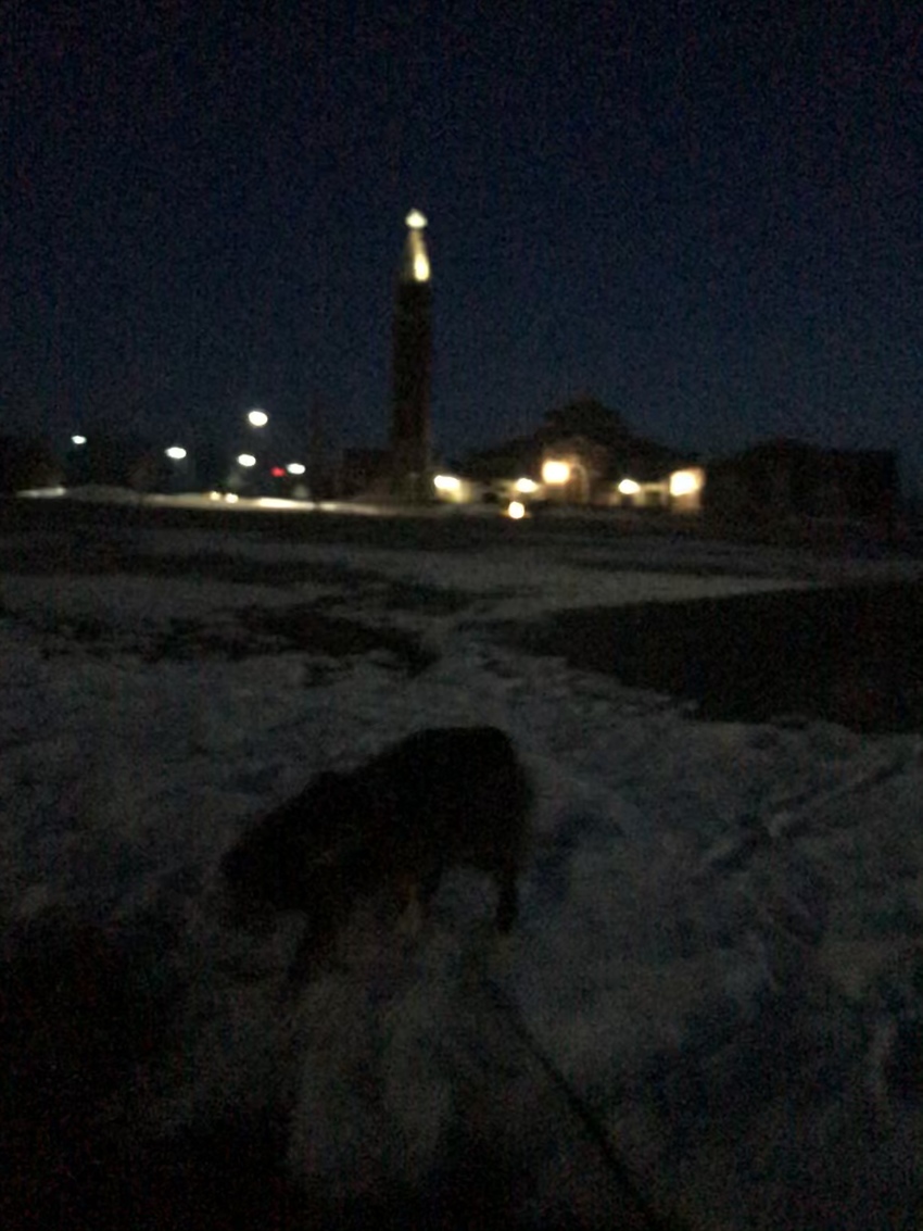謎の光を追って歩いた先の公園で...