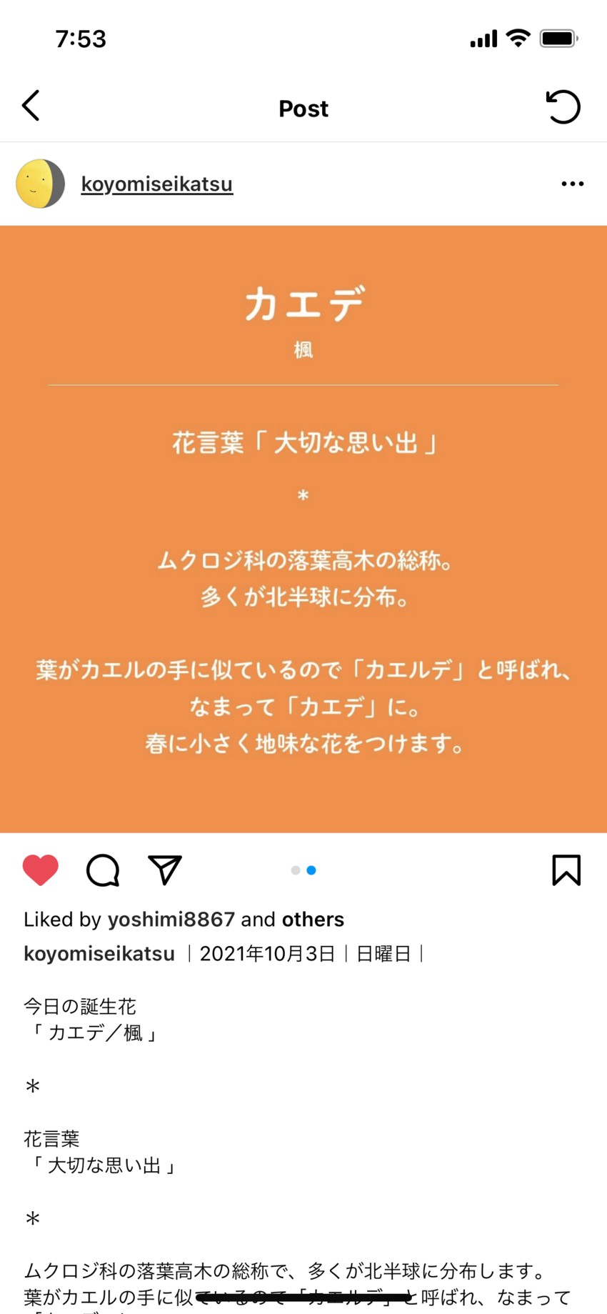 楓