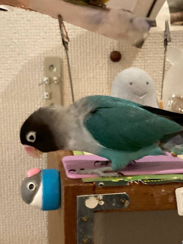 その中のひとりとの距離を縮める...