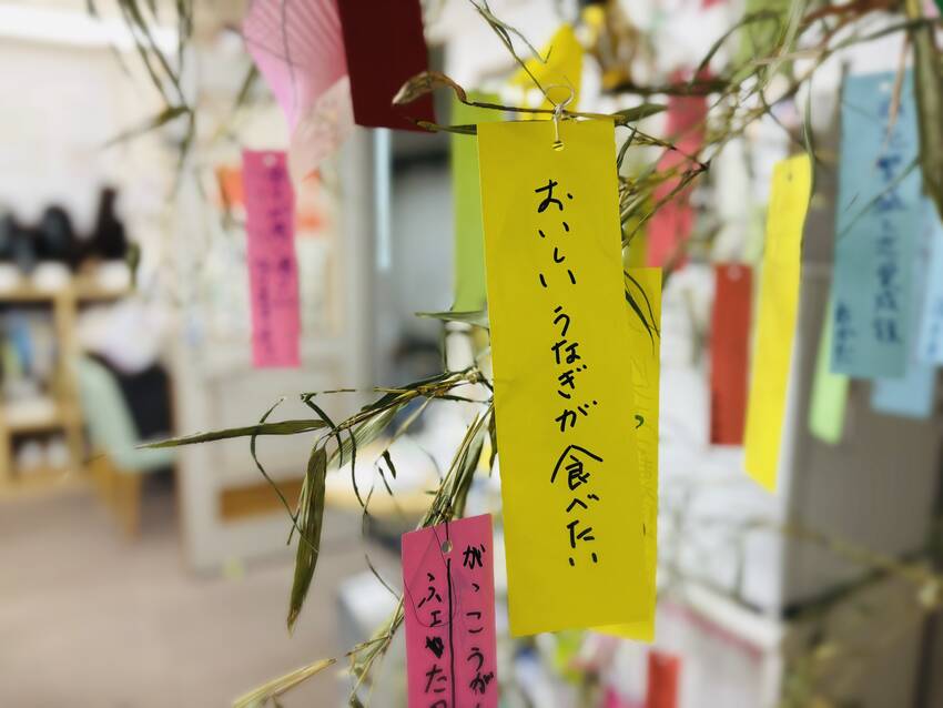 想い出の森でわたしファイルワー...