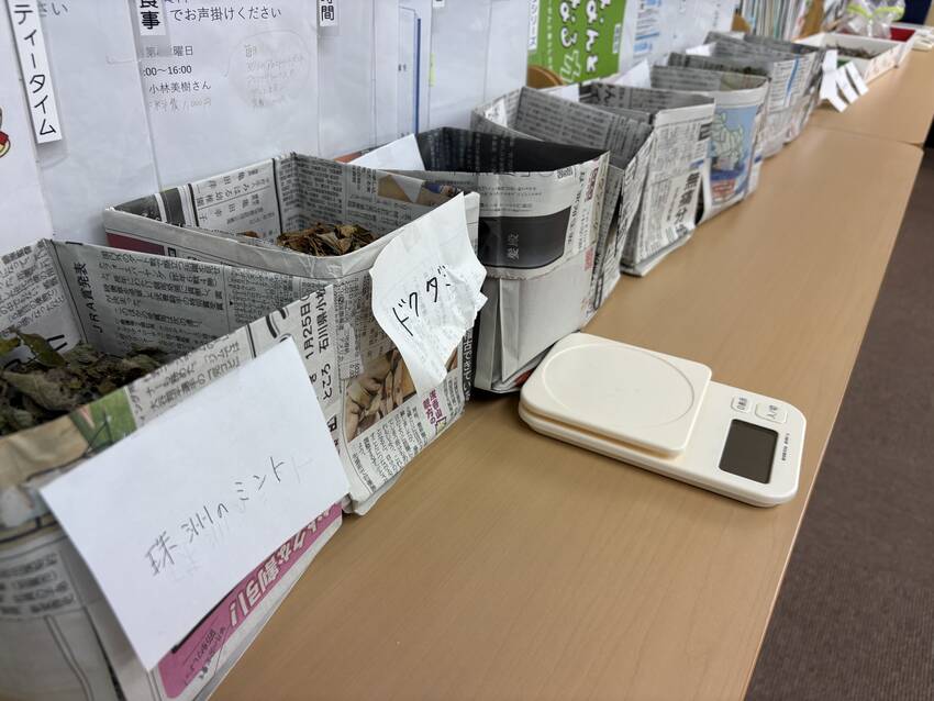 ハーブいろいろ。